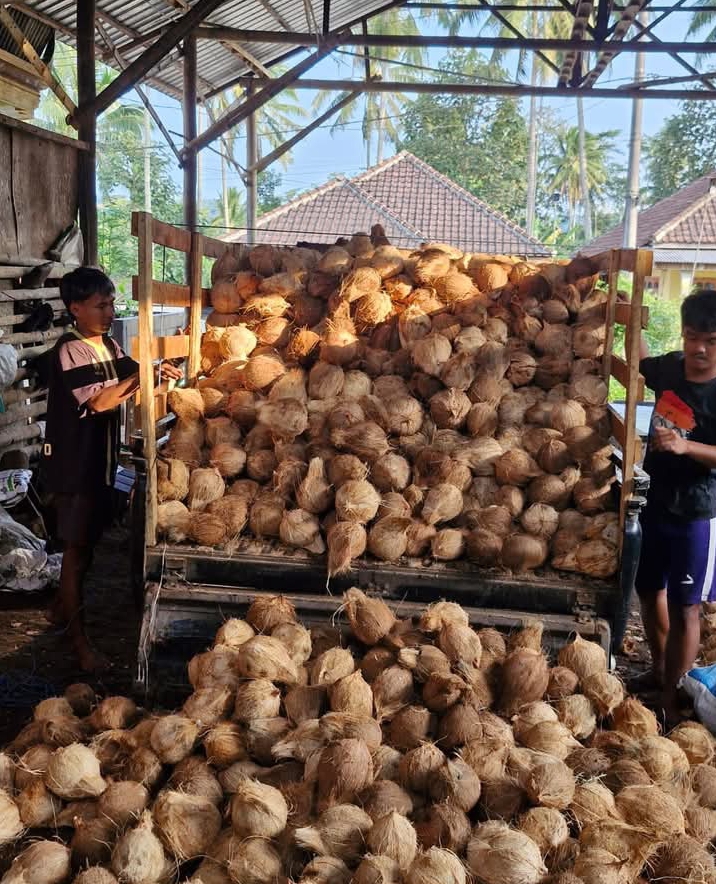 Kelapa